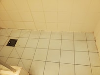 Mold in the bathroom and dirt on the floor. Drain is not a barhroom drain bur a garden one.