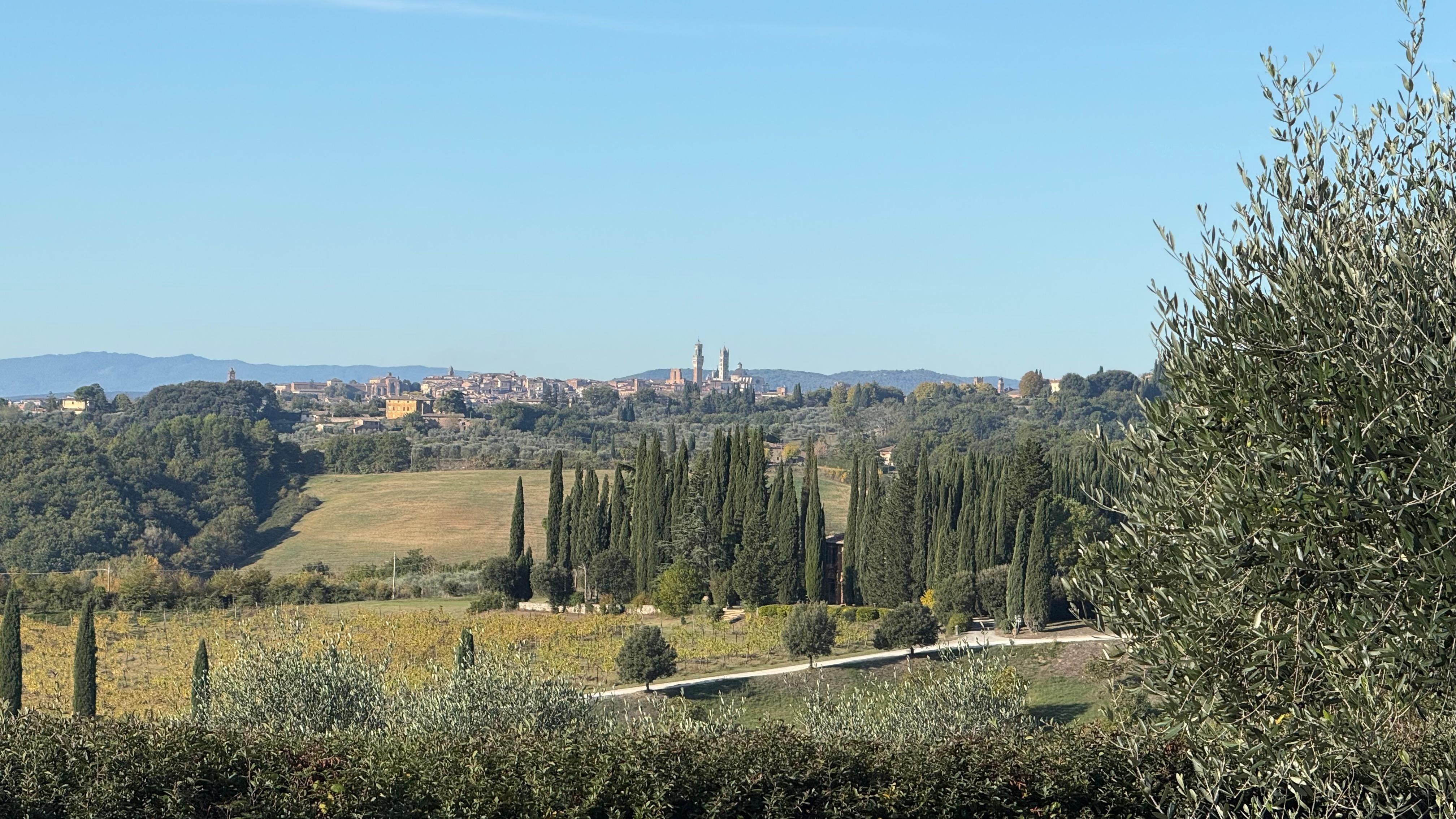 View of Sienna on distant mountaintop from the home’s side yard. 