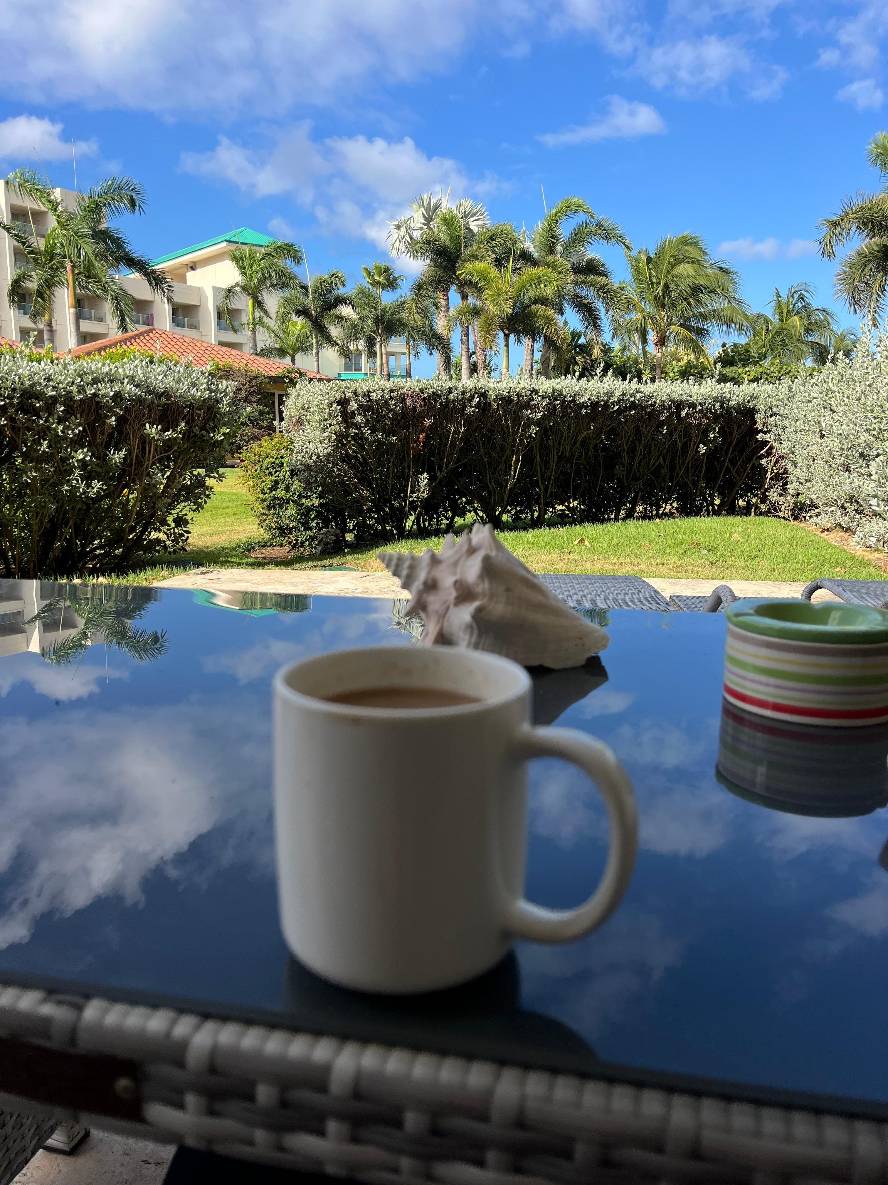 Sitting out on the patio enjoying the morning. Lots of little lizards running by…harmless but entertaining.