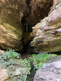 Loved the spring water!