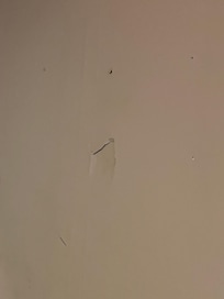 Holes punched in the walls