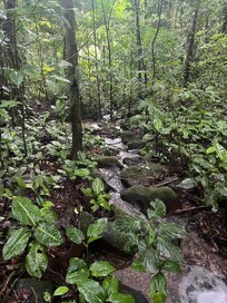 Beautiful hiking