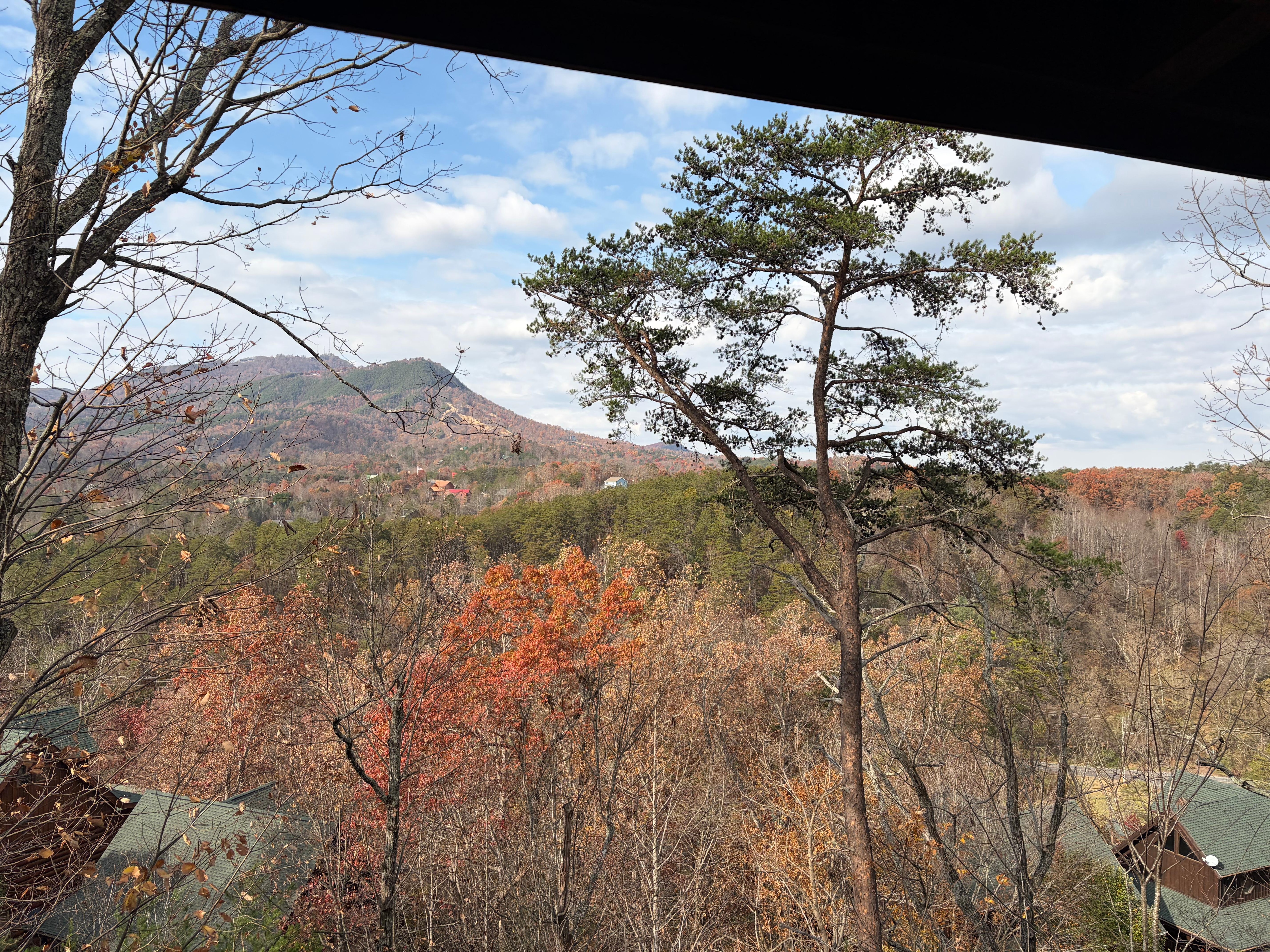 View from upper deck