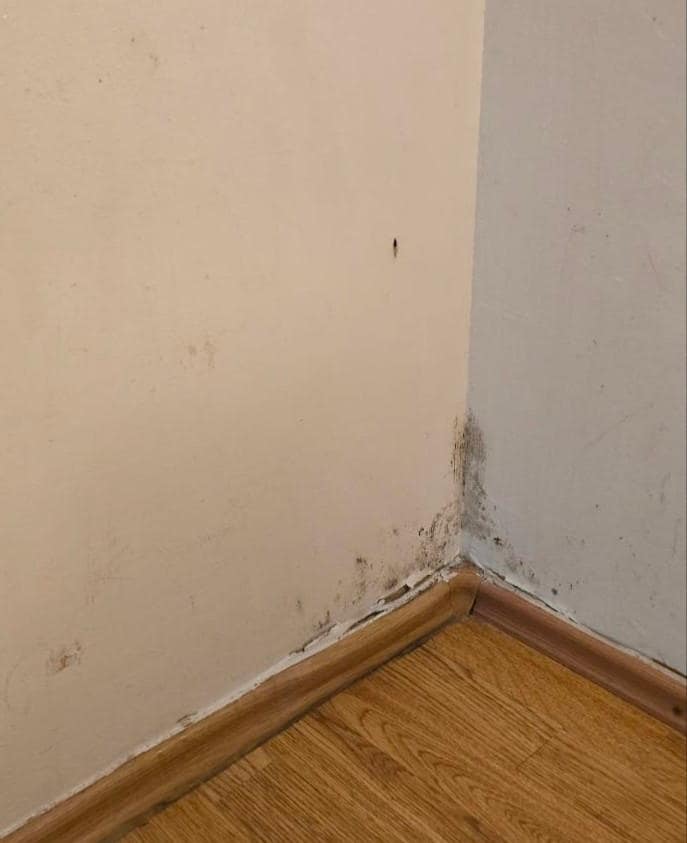 Mold in the corners of the room
