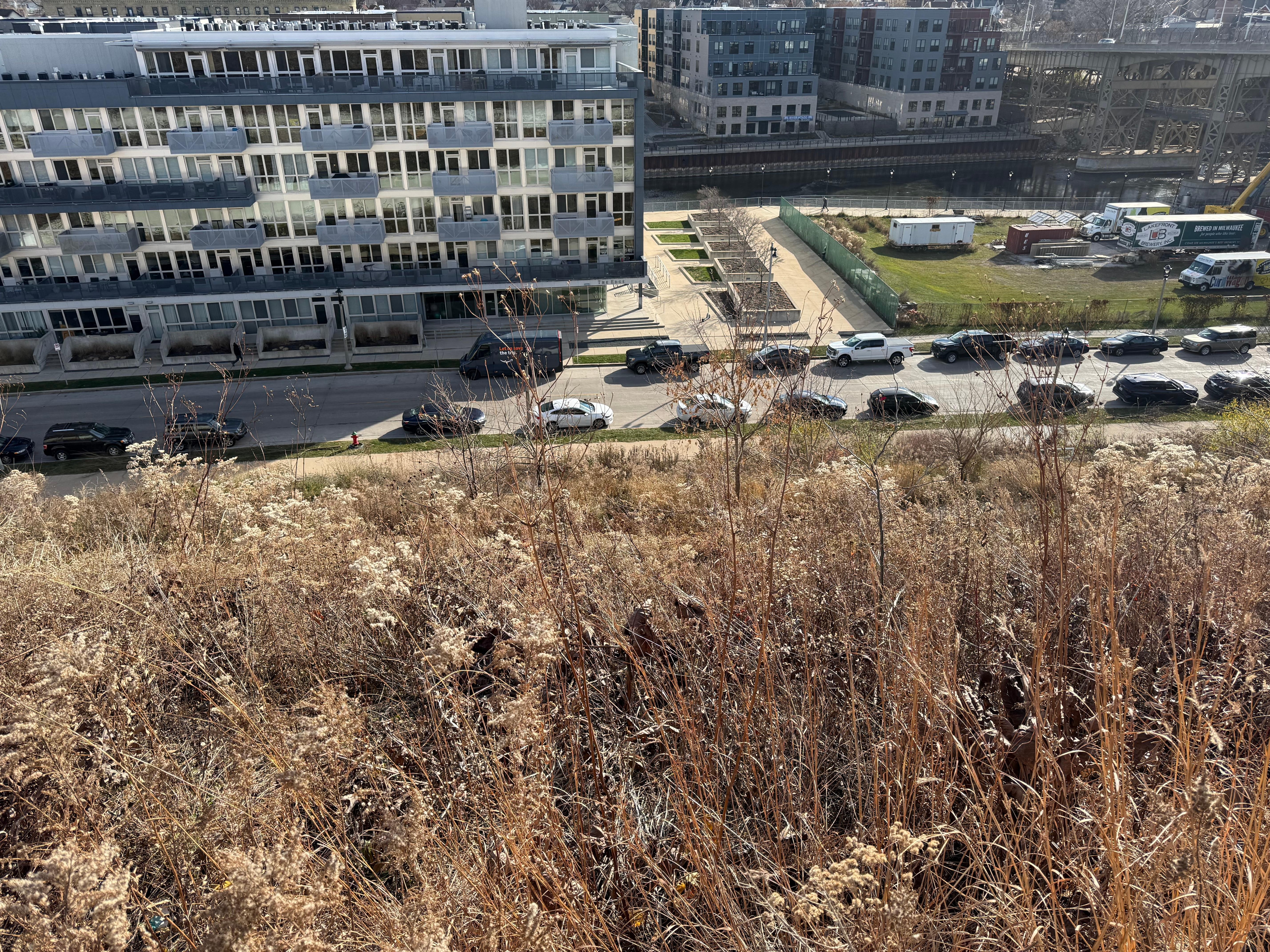 View from the living room window.