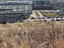 View from the living room window.