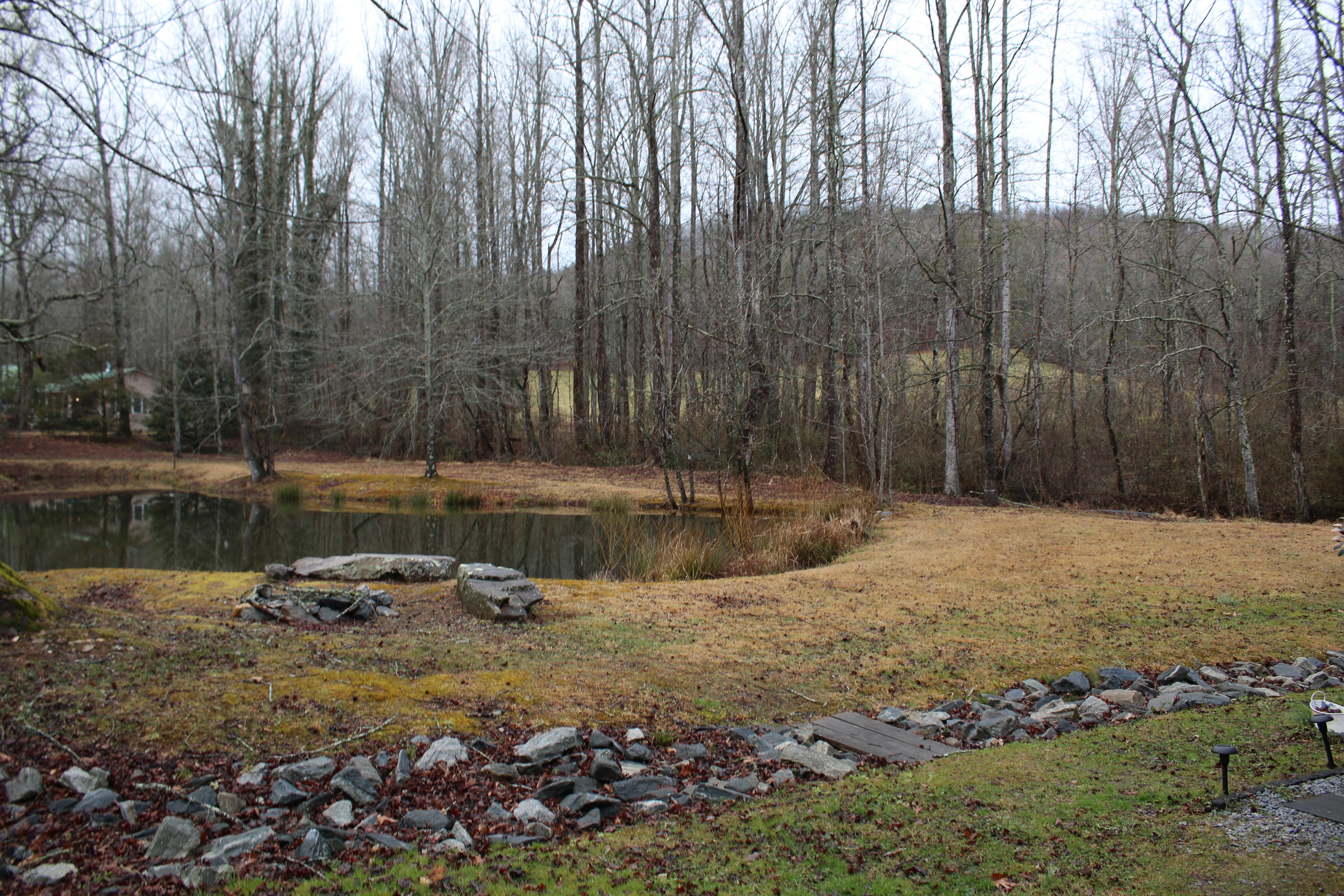 Pond next to the house