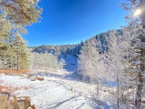 View from the back deck the morning we woke up.