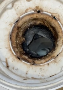 Mold in washer