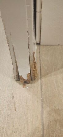 Water damage on bathroom door
