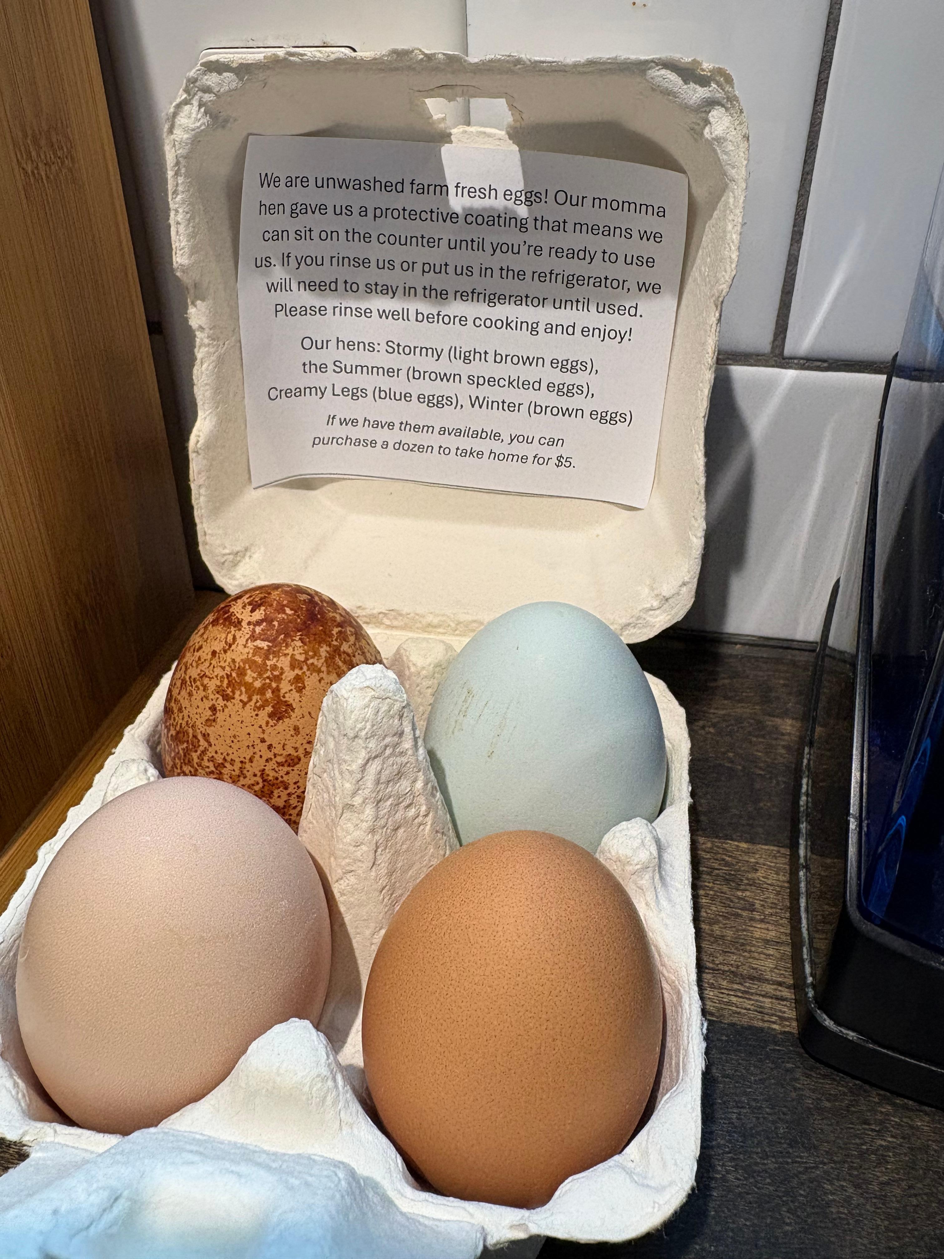 Delicious fresh eggs 