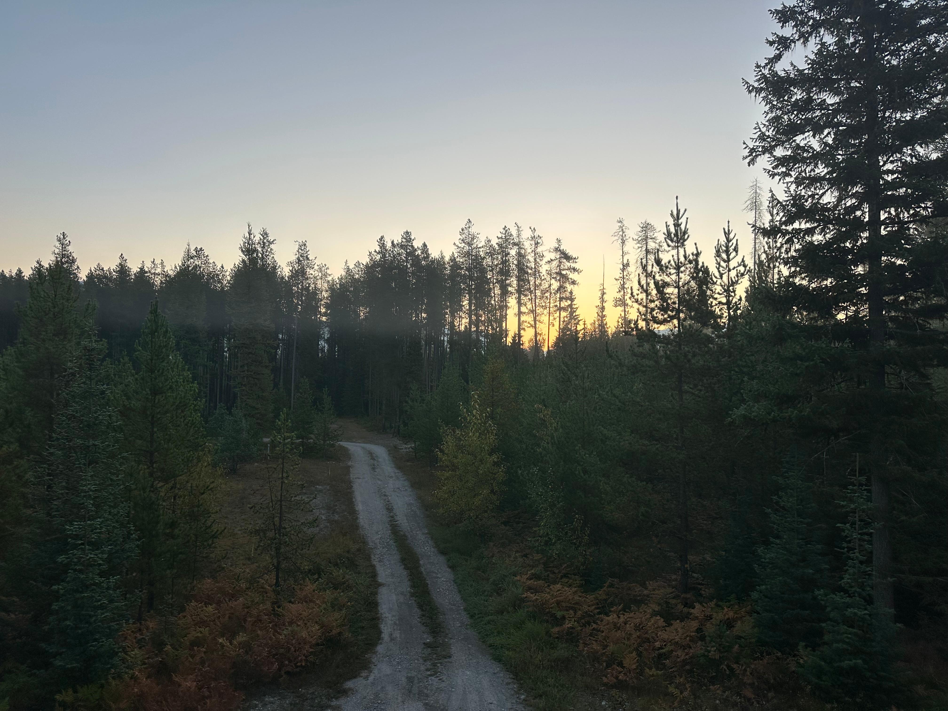 Last morning of a fabulous stay