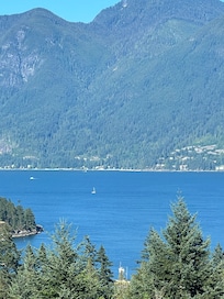 View from the Cypress room