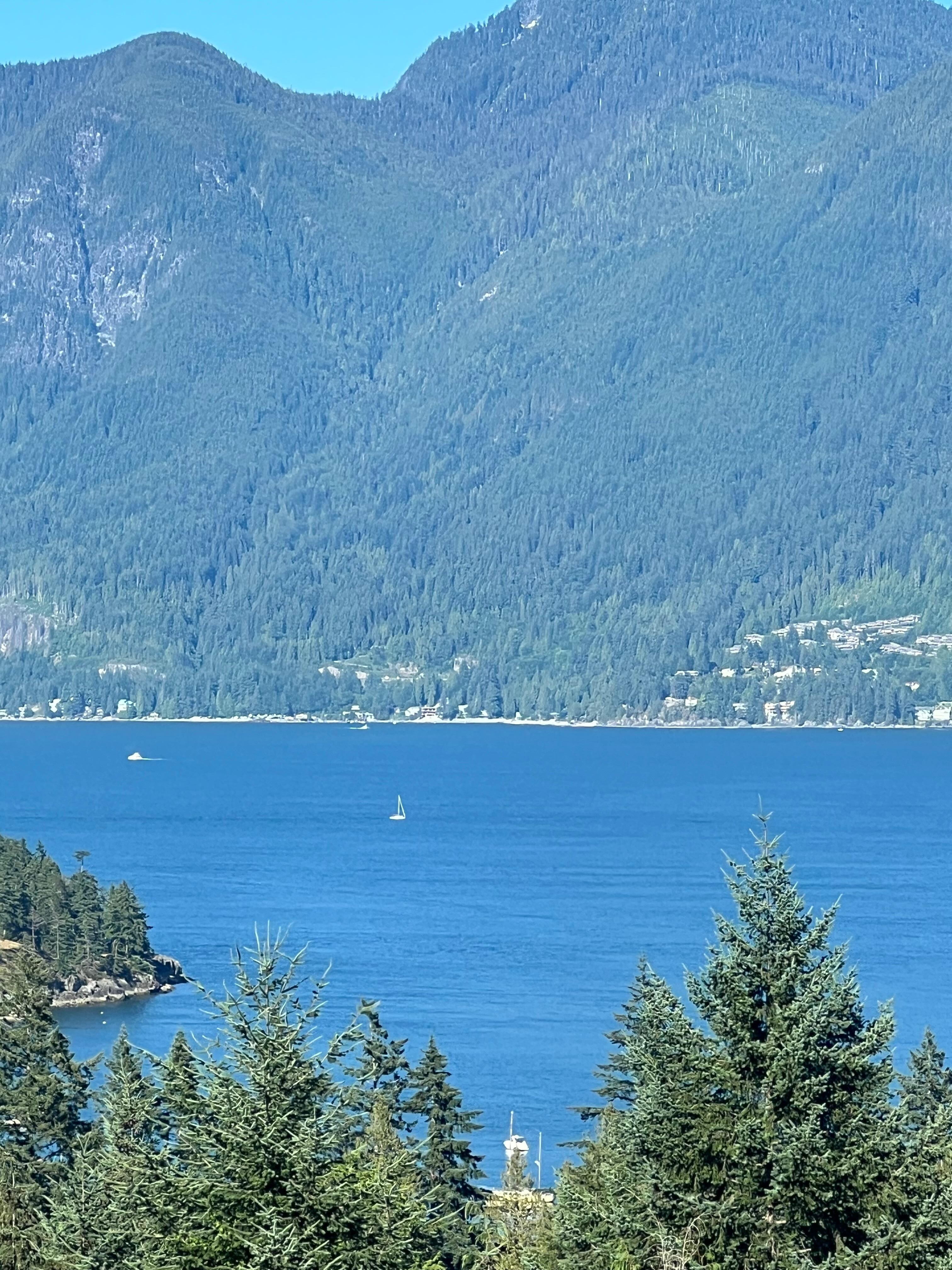 View from the Cypress room