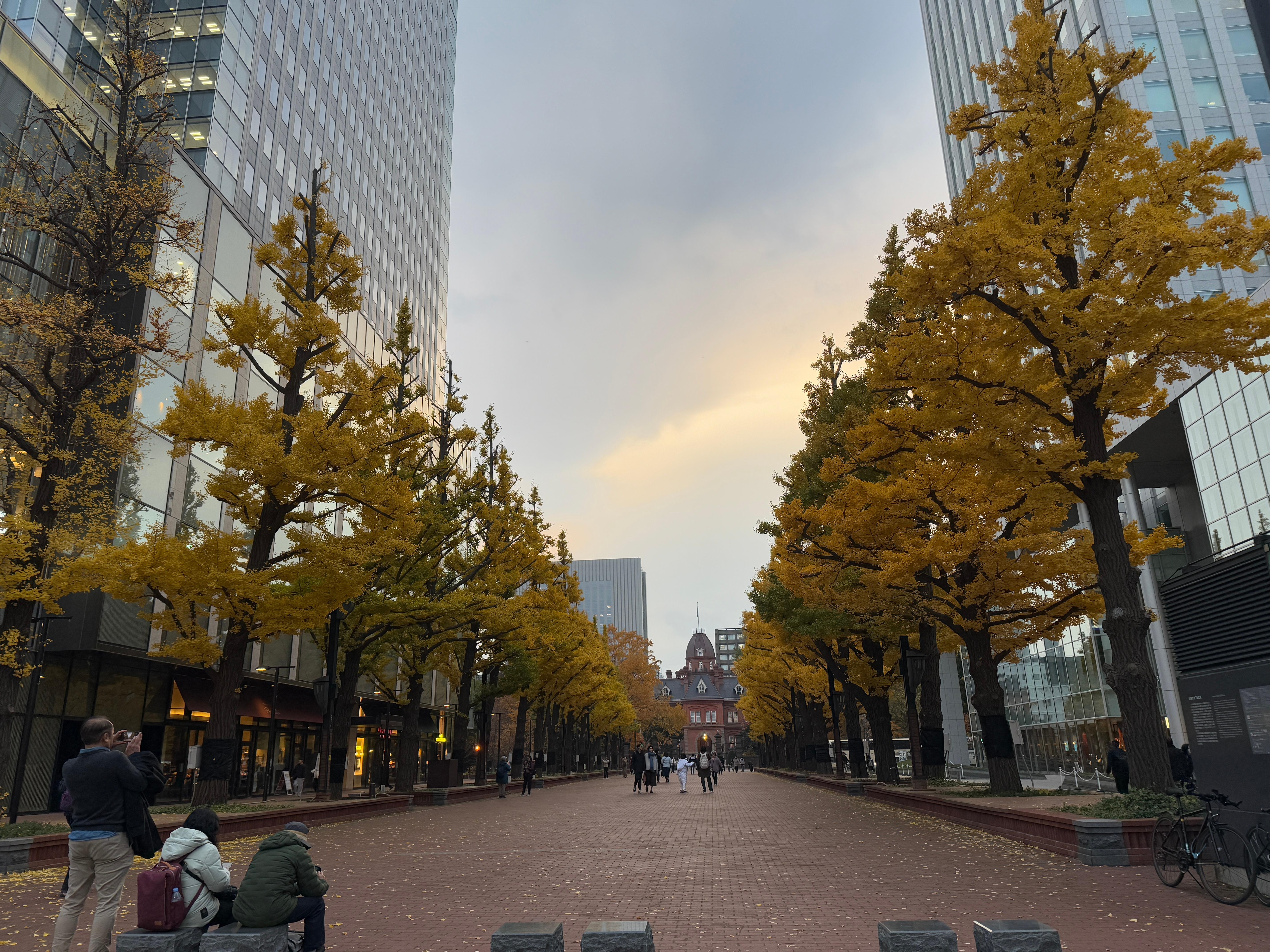 Sapporo's Odori Park nearby. 札幌の大通公園が近くにあります.