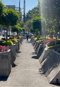 Clean and safe area in downtown
