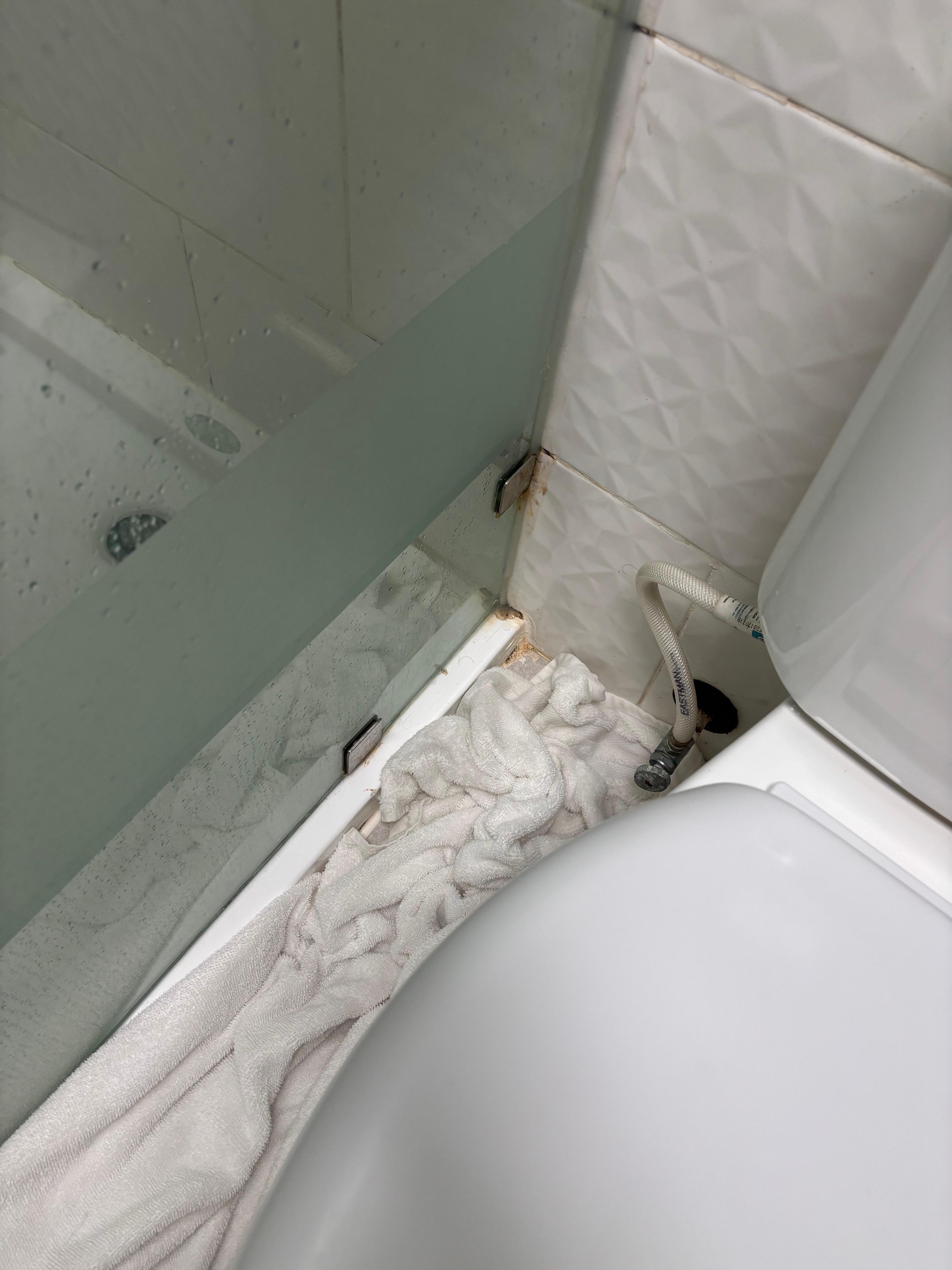 Mold around the shower.