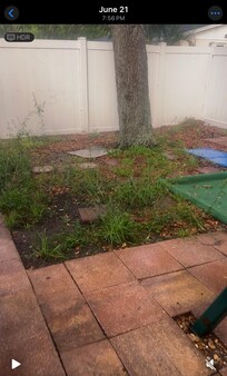 Playground area with overgrown weeds our children couldn’t enjoy the playground