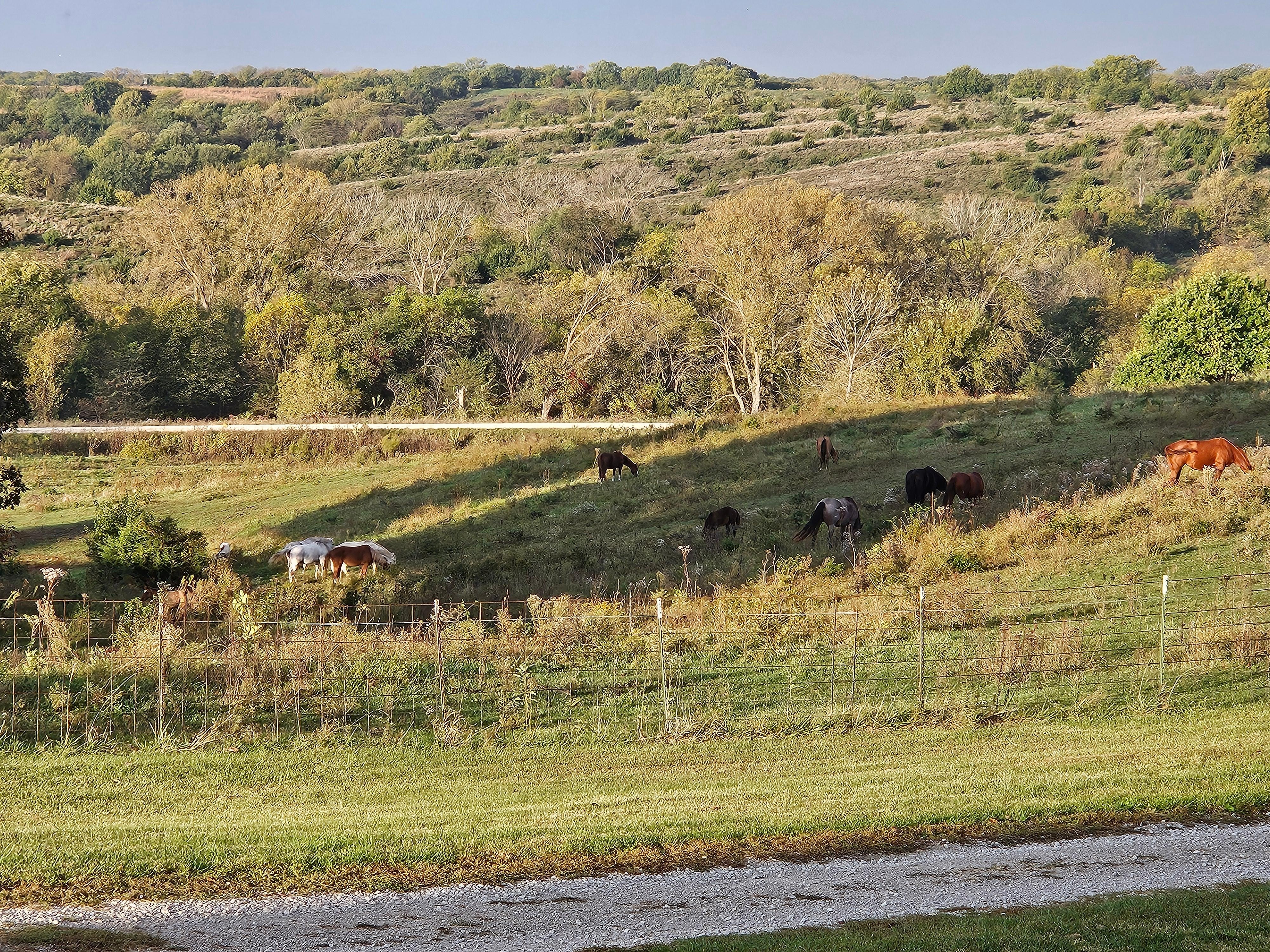 View from back of house