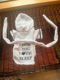 A robe for our pet’s comfort.