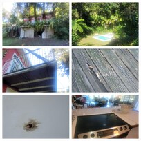 Outbuilding, pool, balcony boards, under balcony, master BR ceiling mold, stove