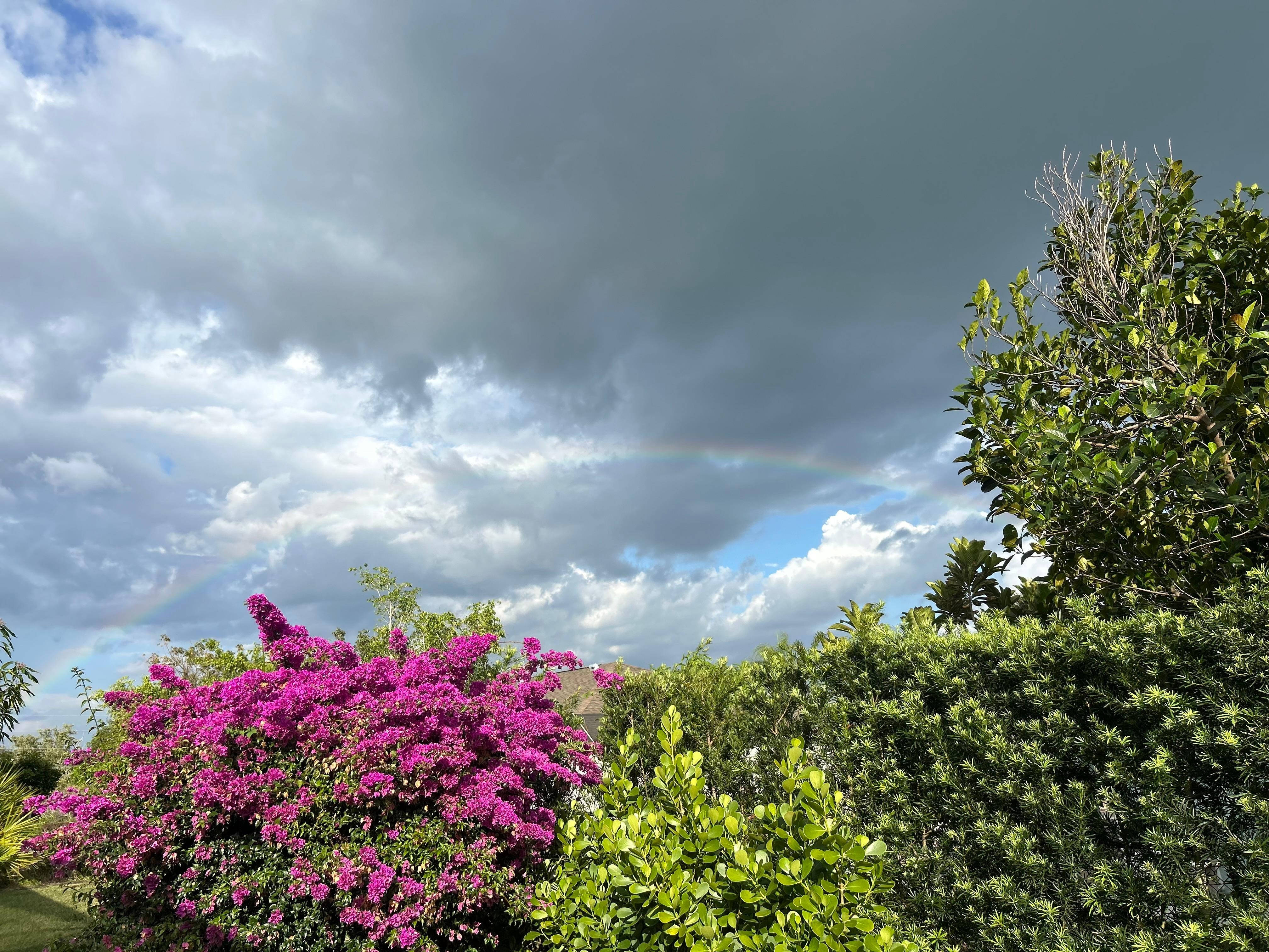 A little sprinkle and a beautiful rainbow on our last night. 