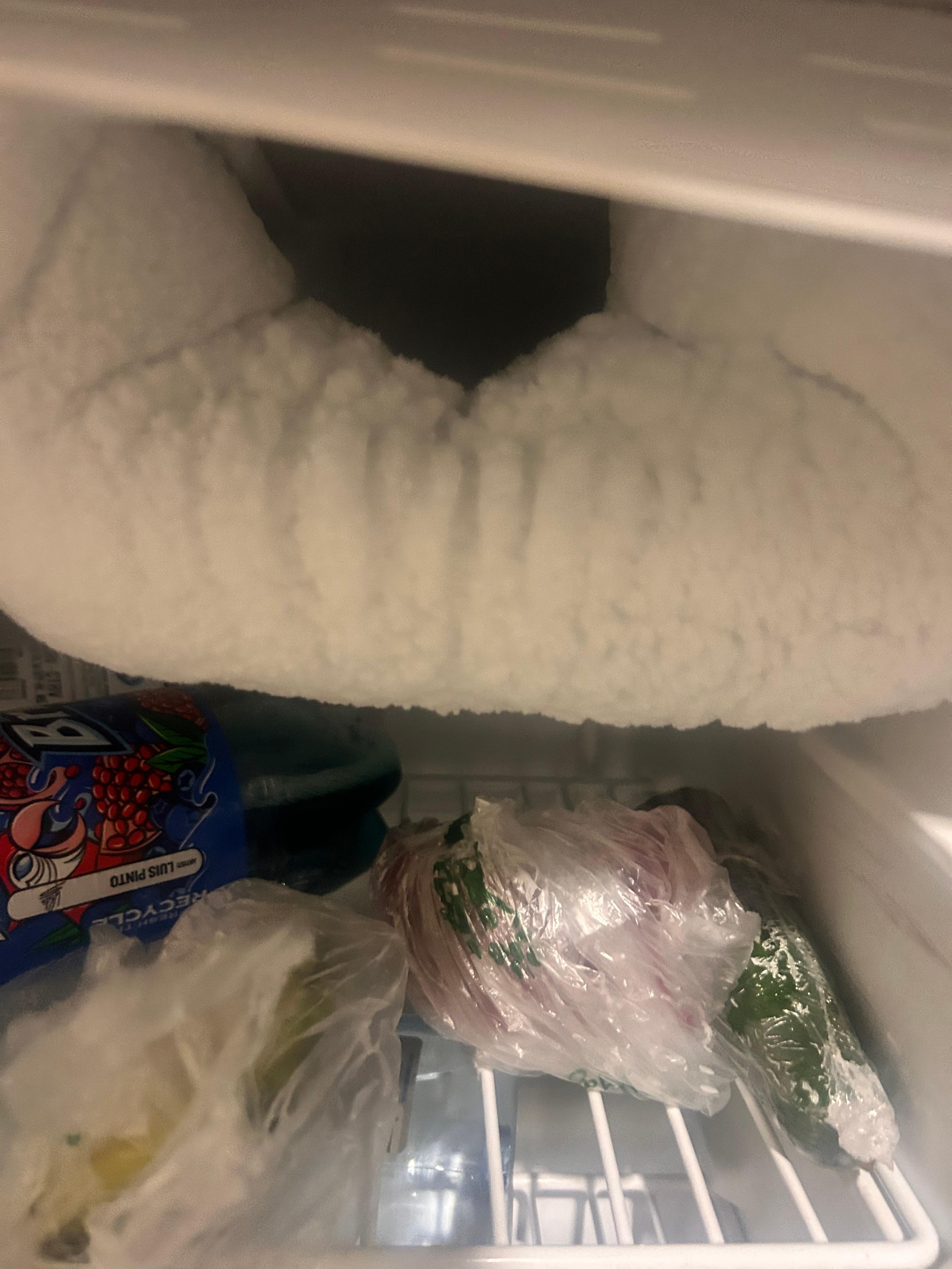 Frozen freezer