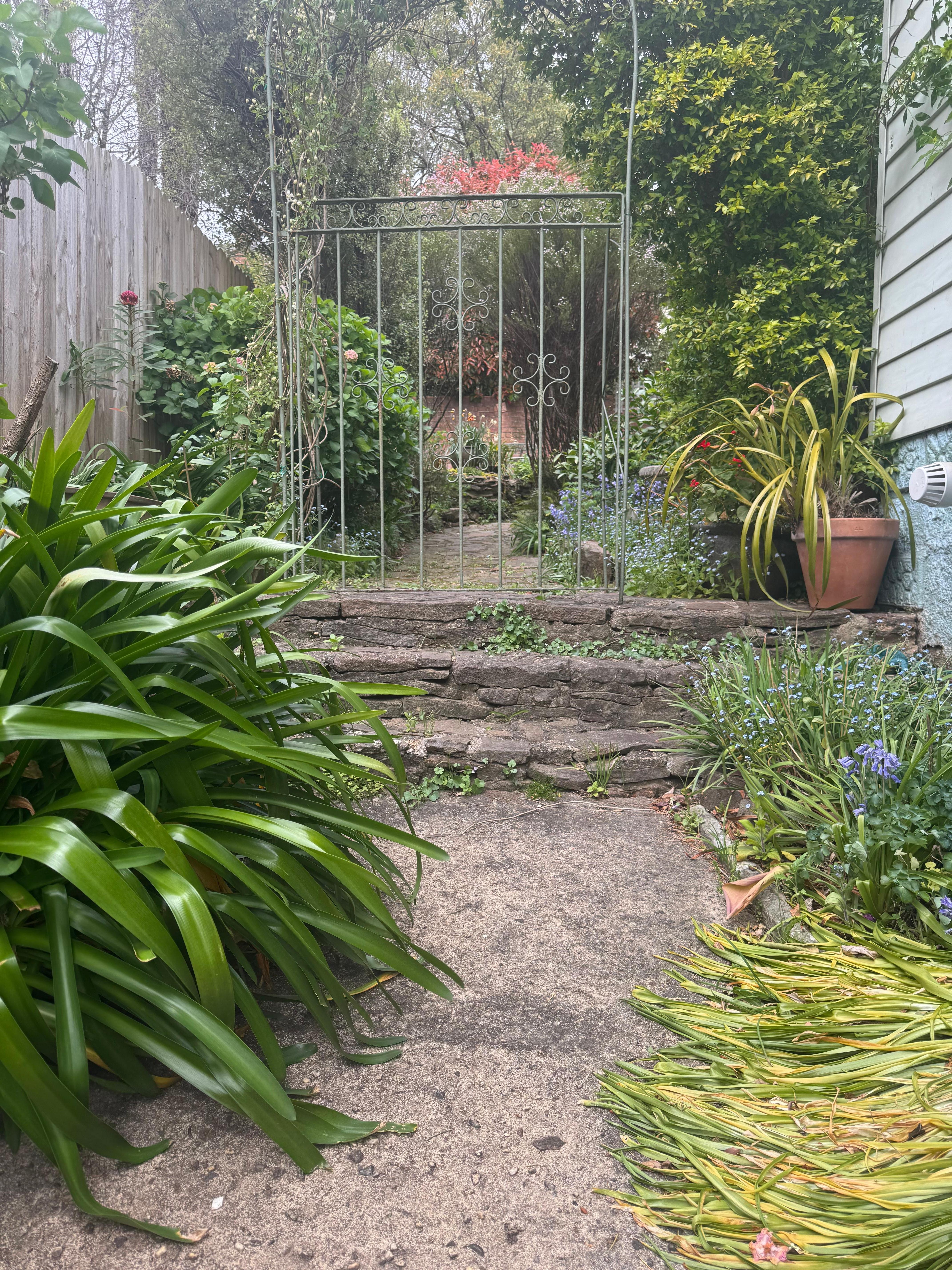 Beautiful cottage garden 