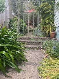 Beautiful cottage garden