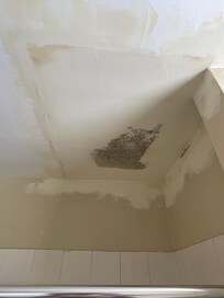 The smell of mold hits you like a freight train