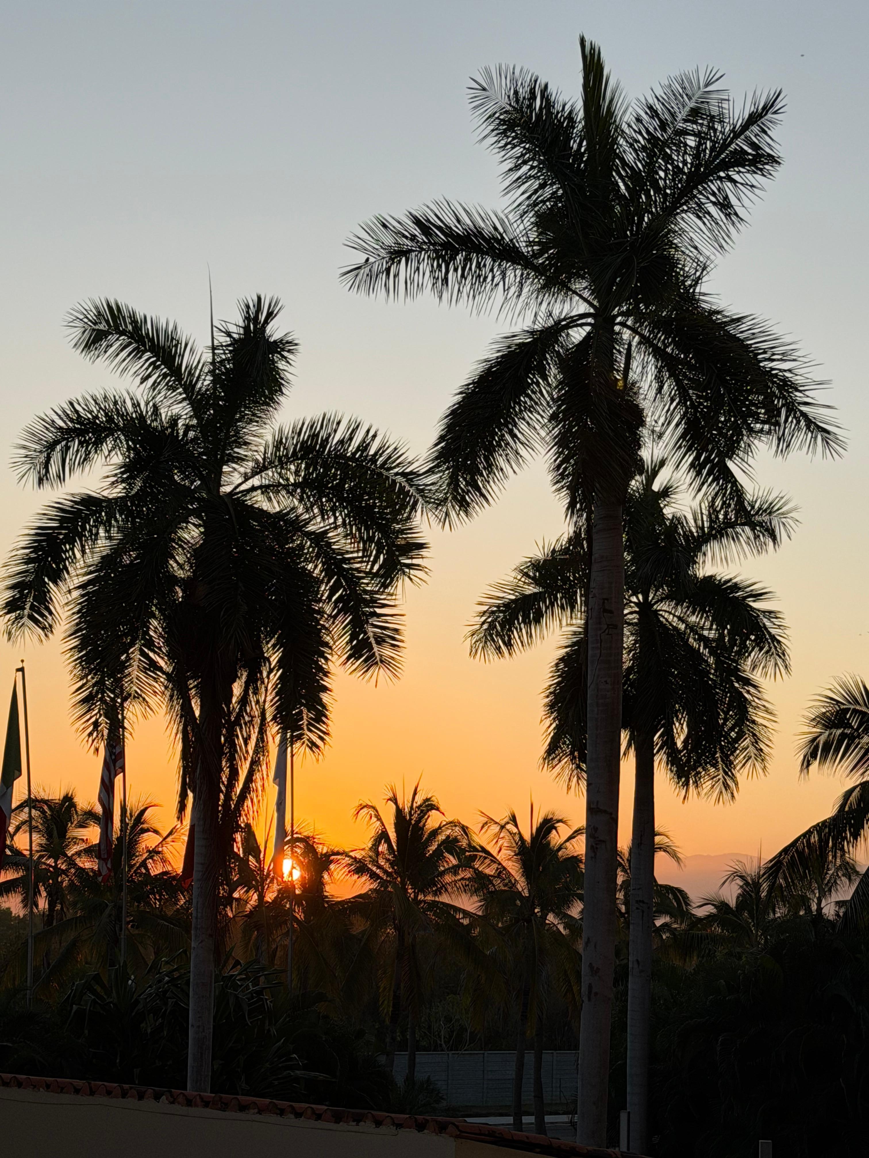 Entrance to the resort in the evening. Quiet area on the strip.  Oxxo corner store next to the building which is convenient.