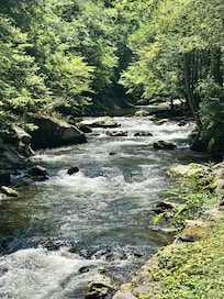 The park
