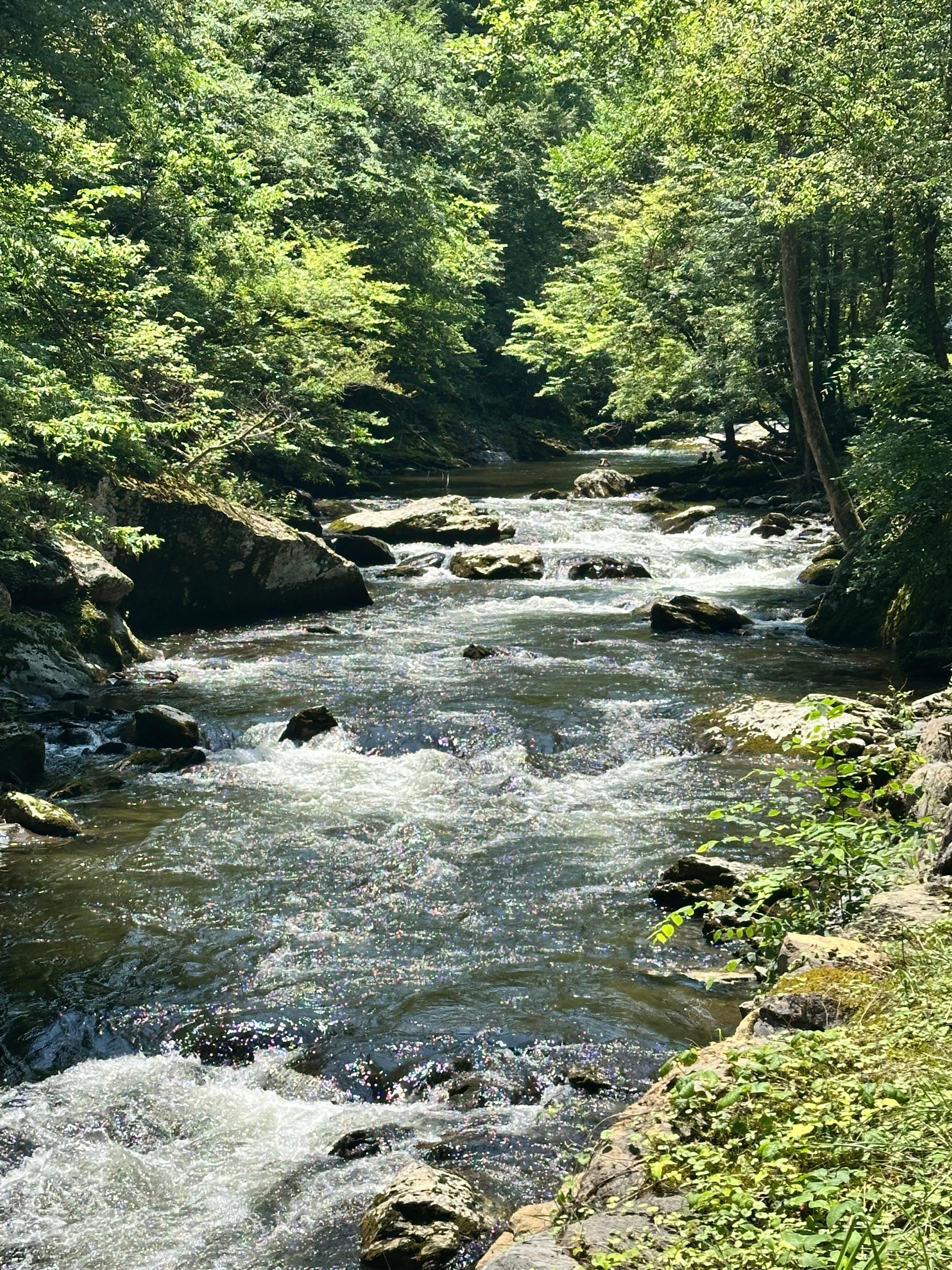 The park