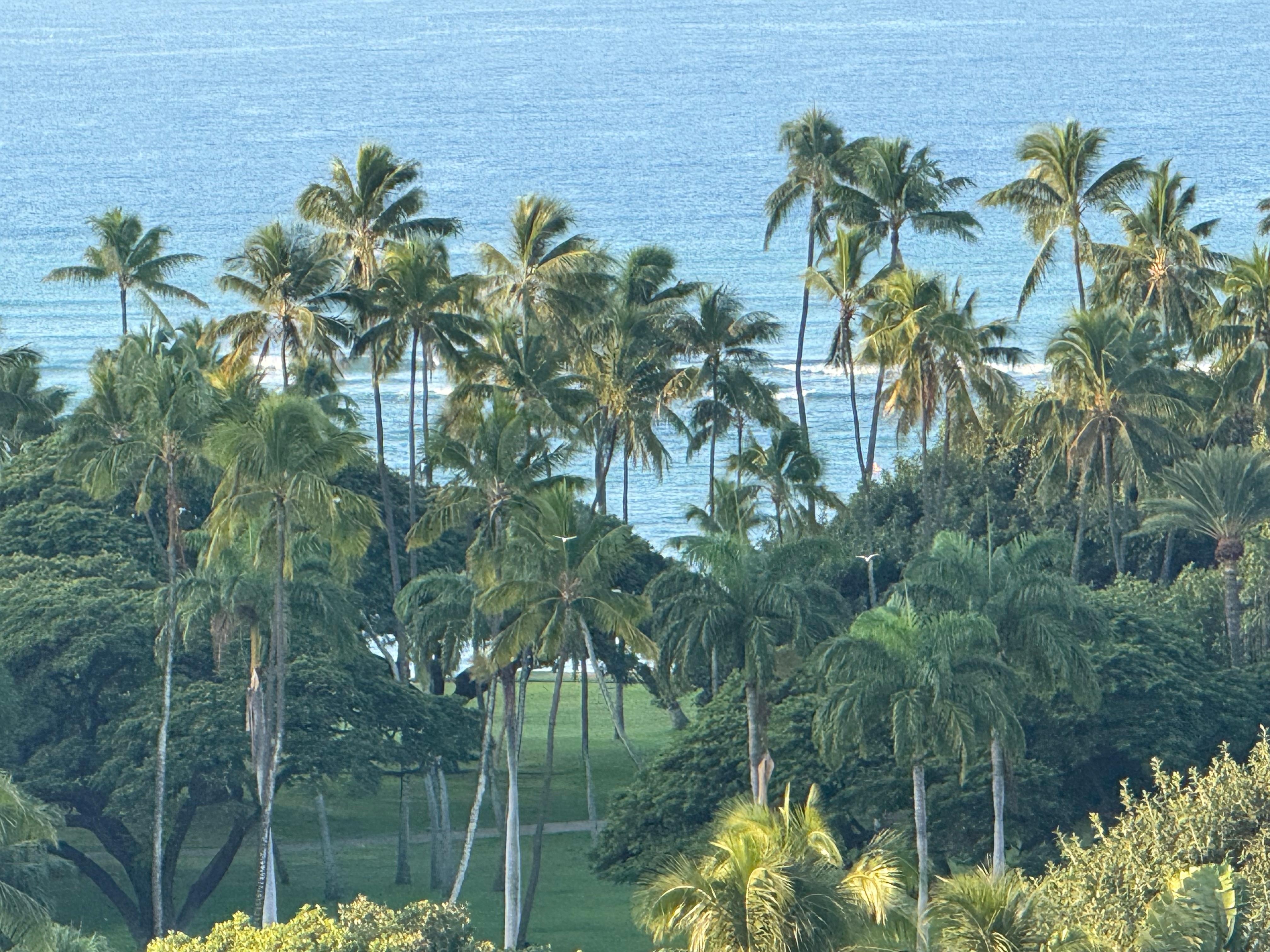 View from our room on the 11th floor. 