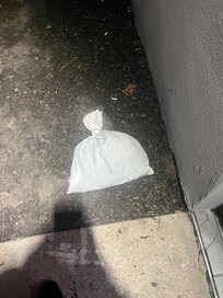 No clue what this was outside back door…