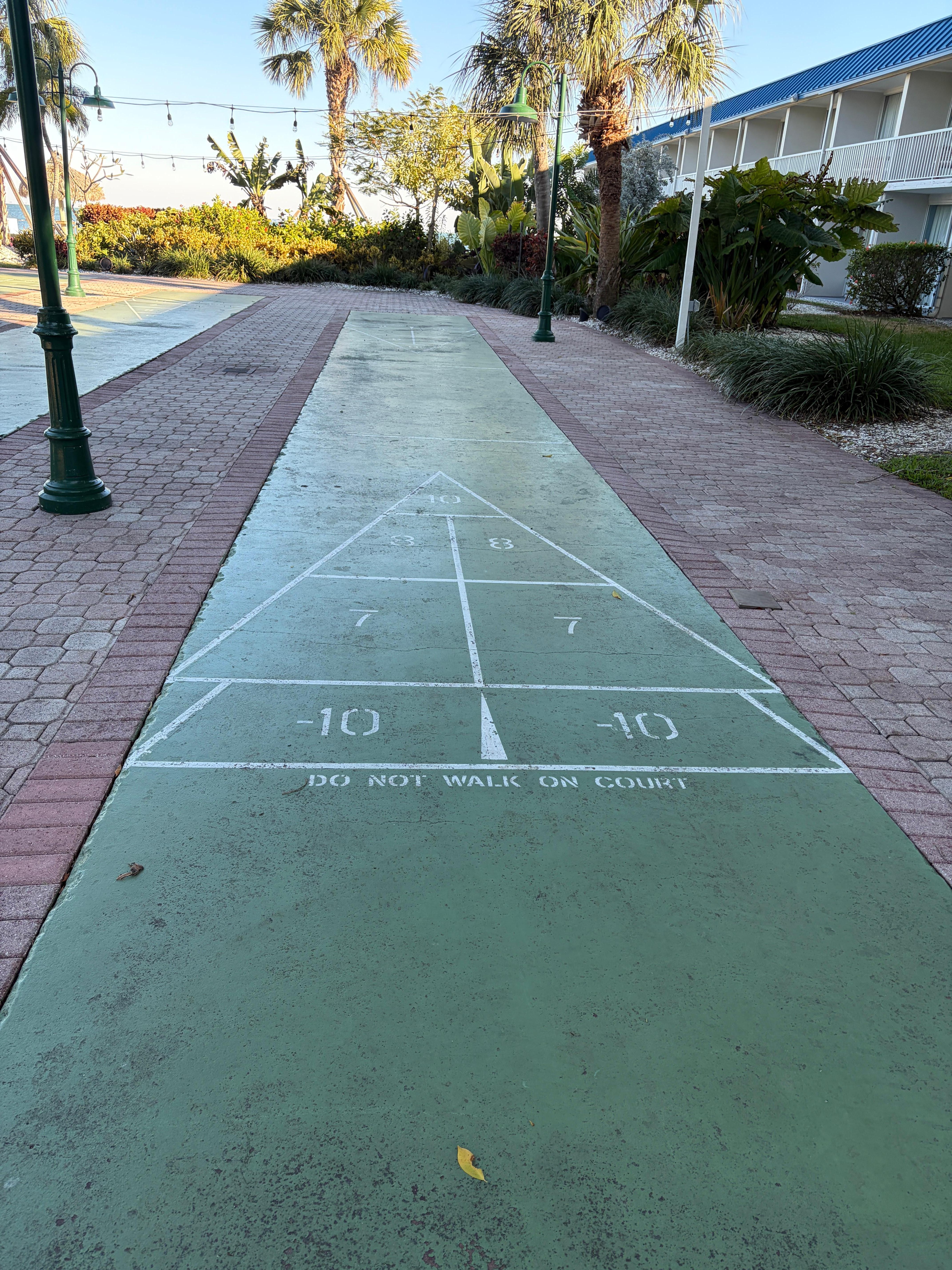 Shuffleboard!