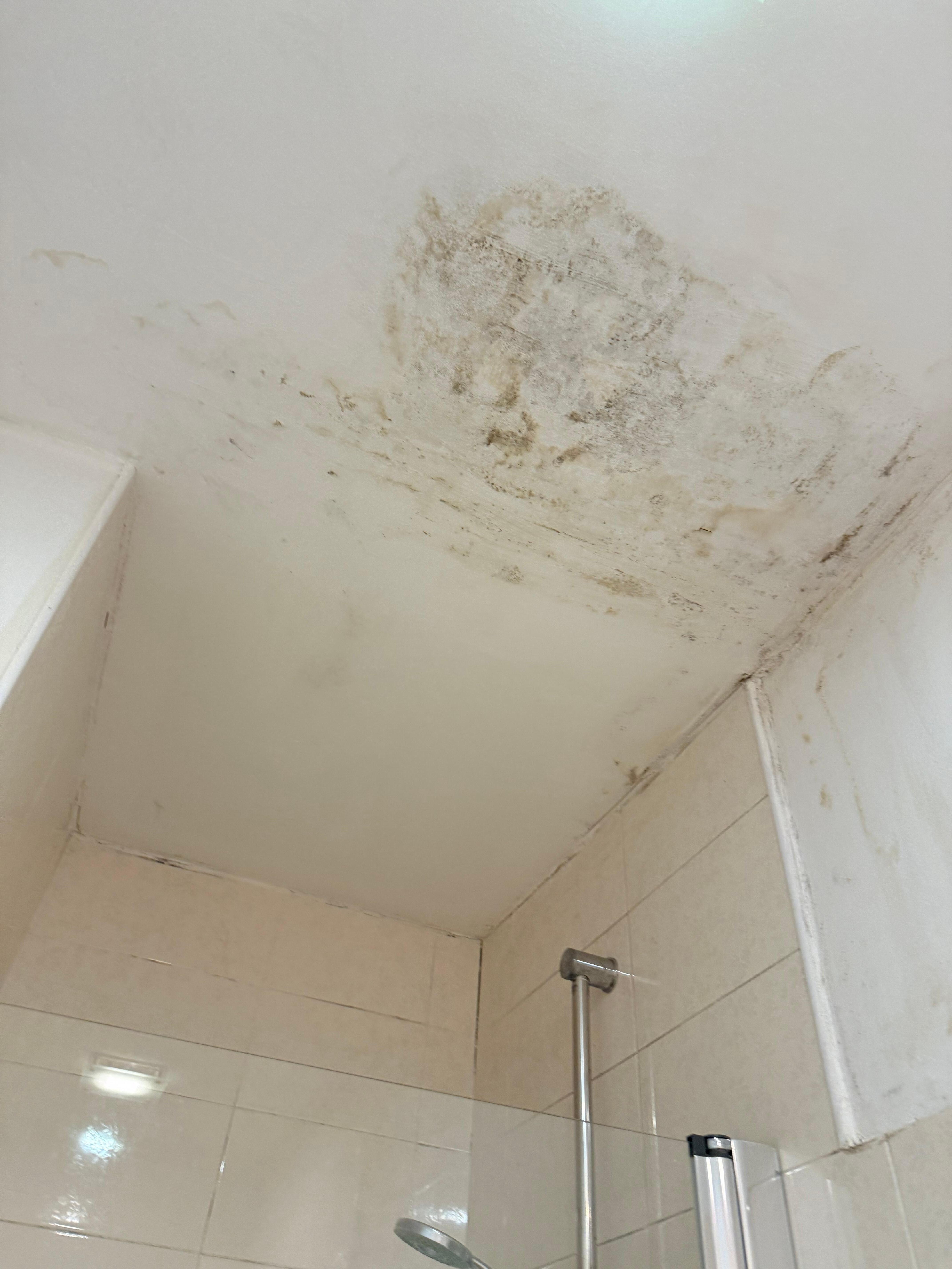 Mold above the shower