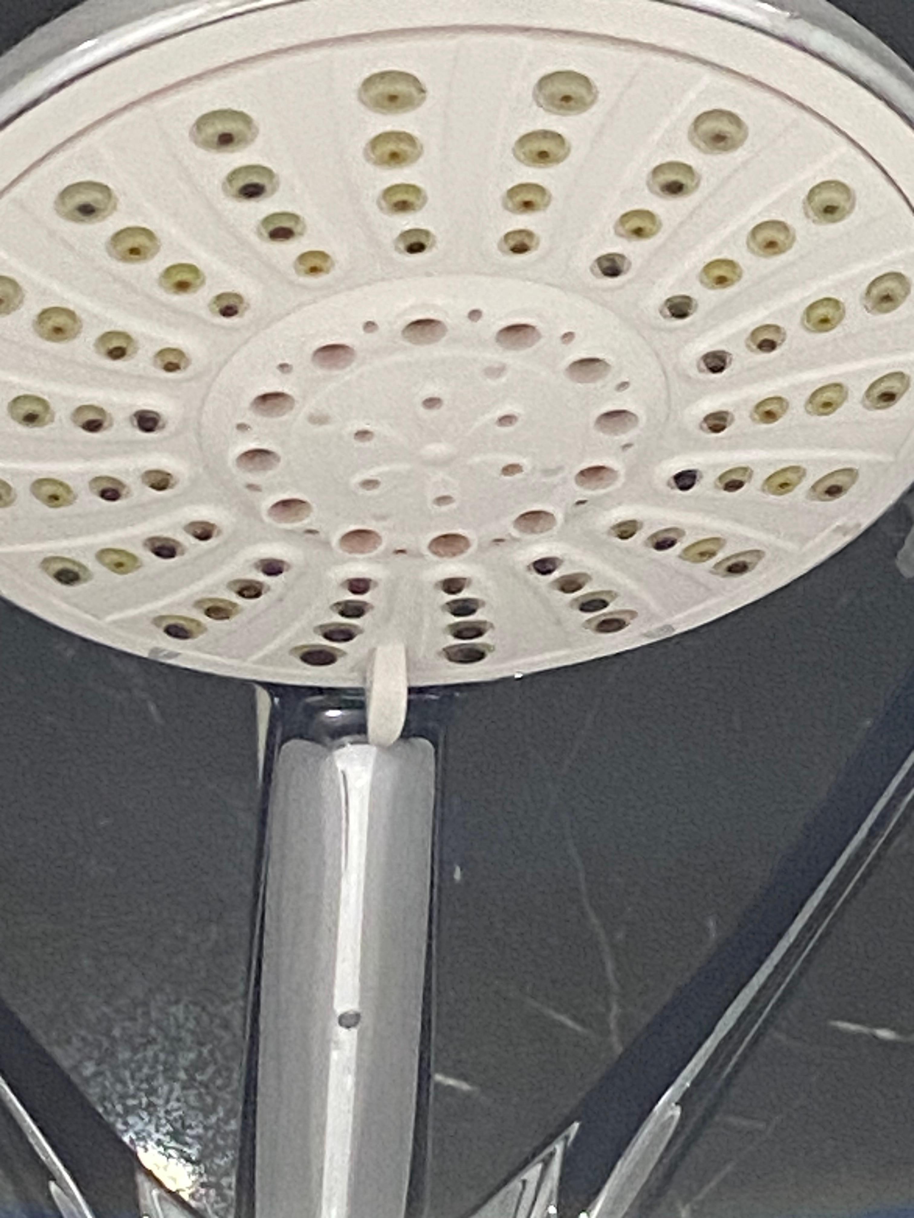 Black mould on shower head just not acceptable.