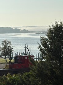 Morning fog, view from the sunroom