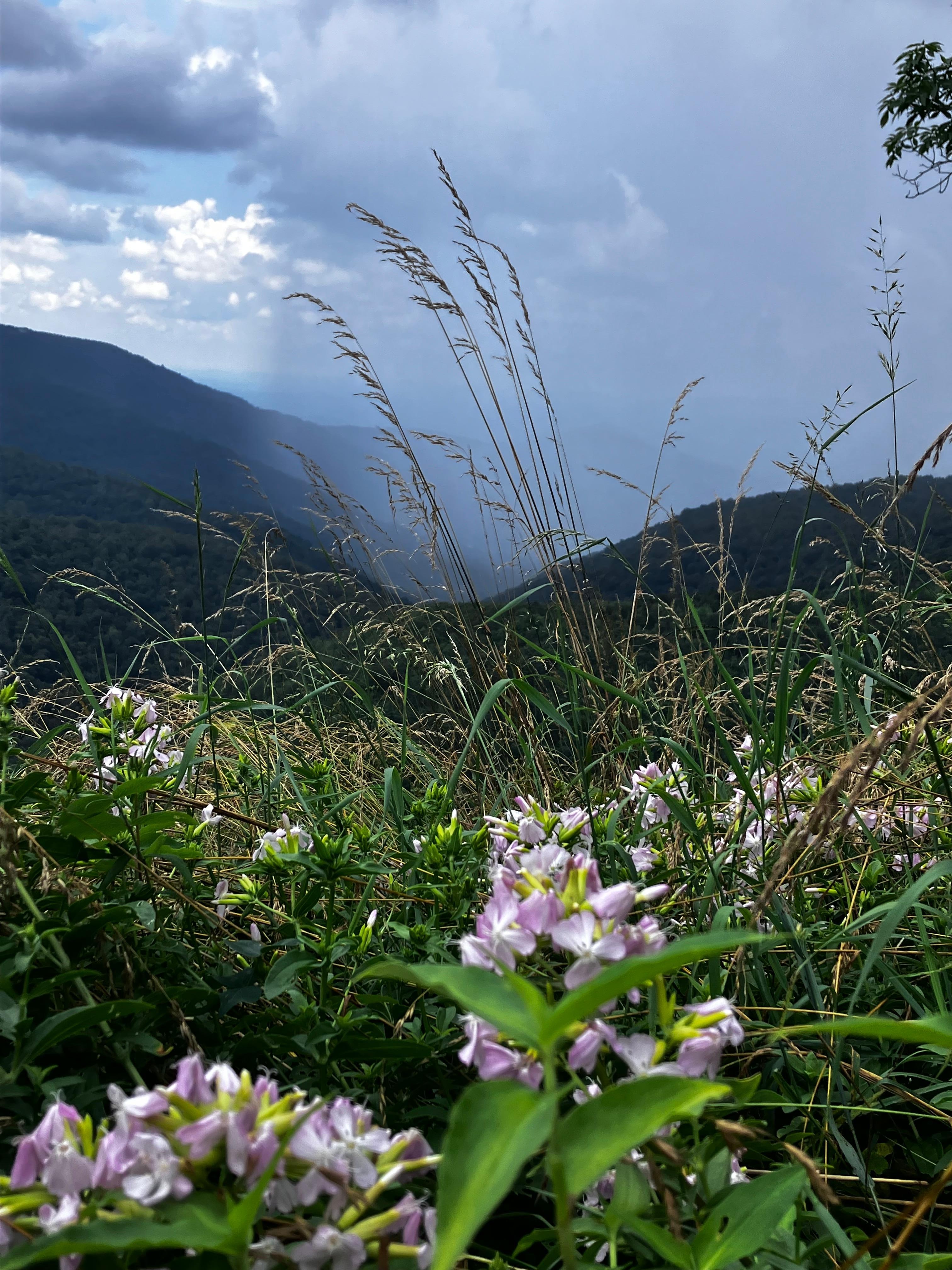 Watching the rain come in from a lookout in Shenandoah NP