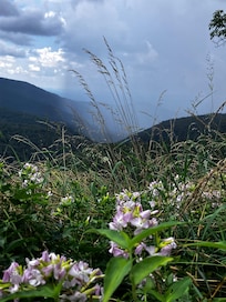 Watching the rain come in from a lookout in Shenandoah NP