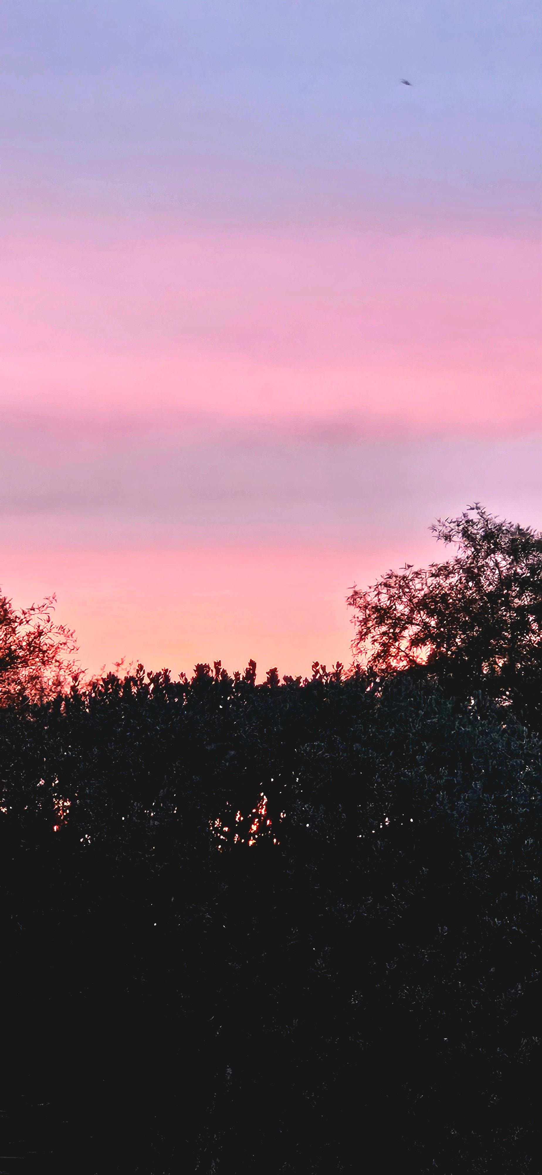 Sunset from the patio