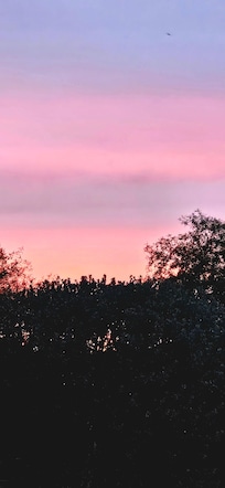 Sunset from the patio