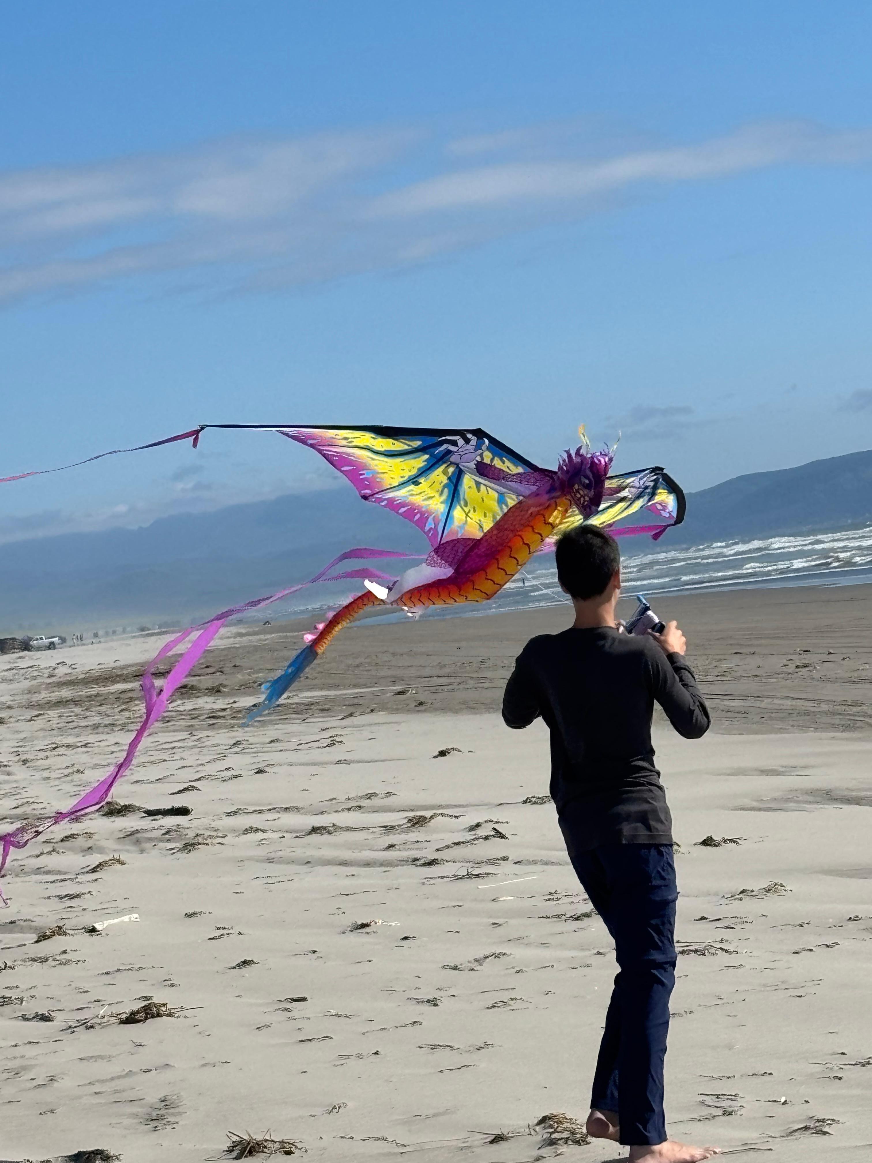 Kites!
