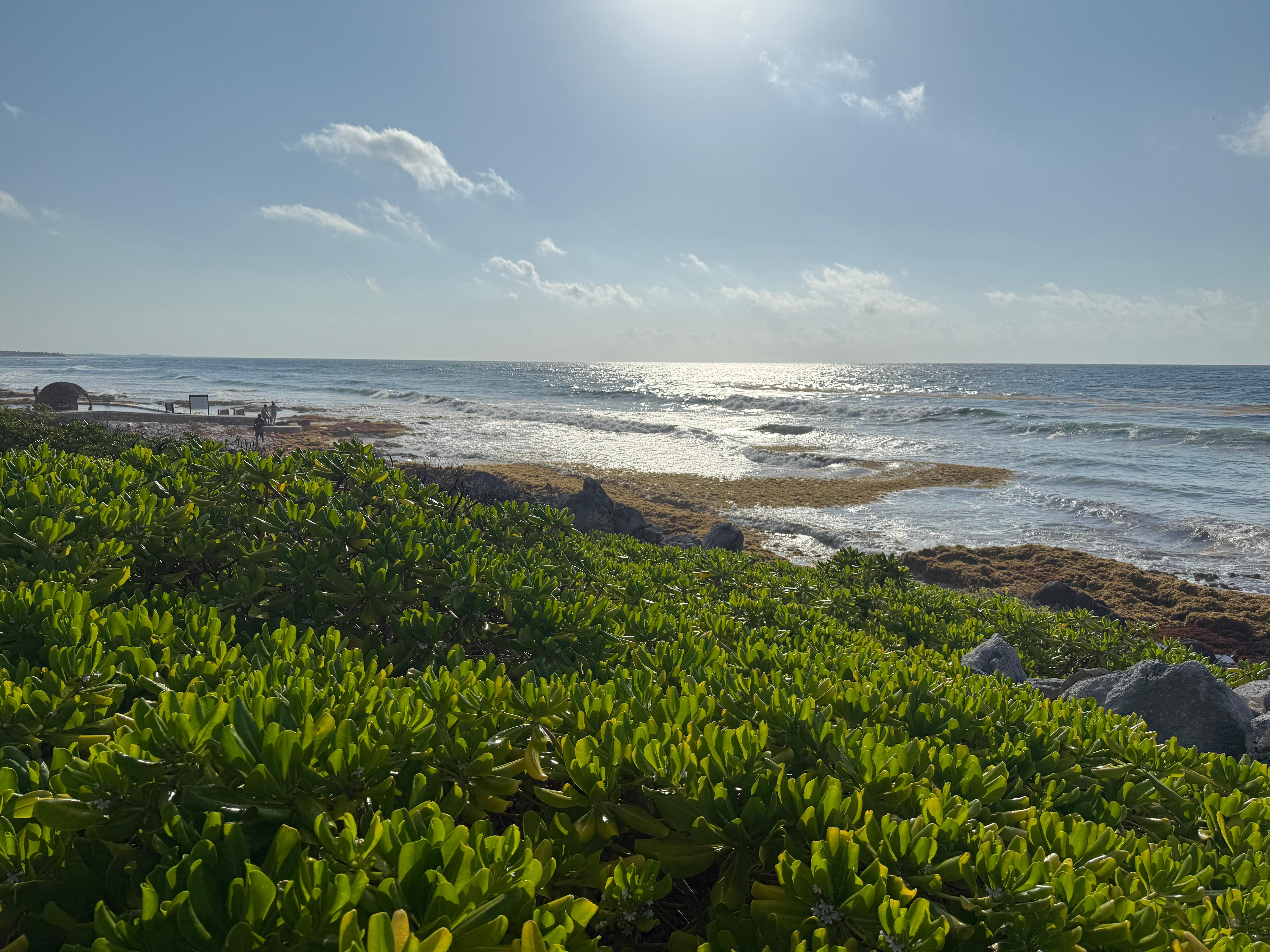 Ocean view