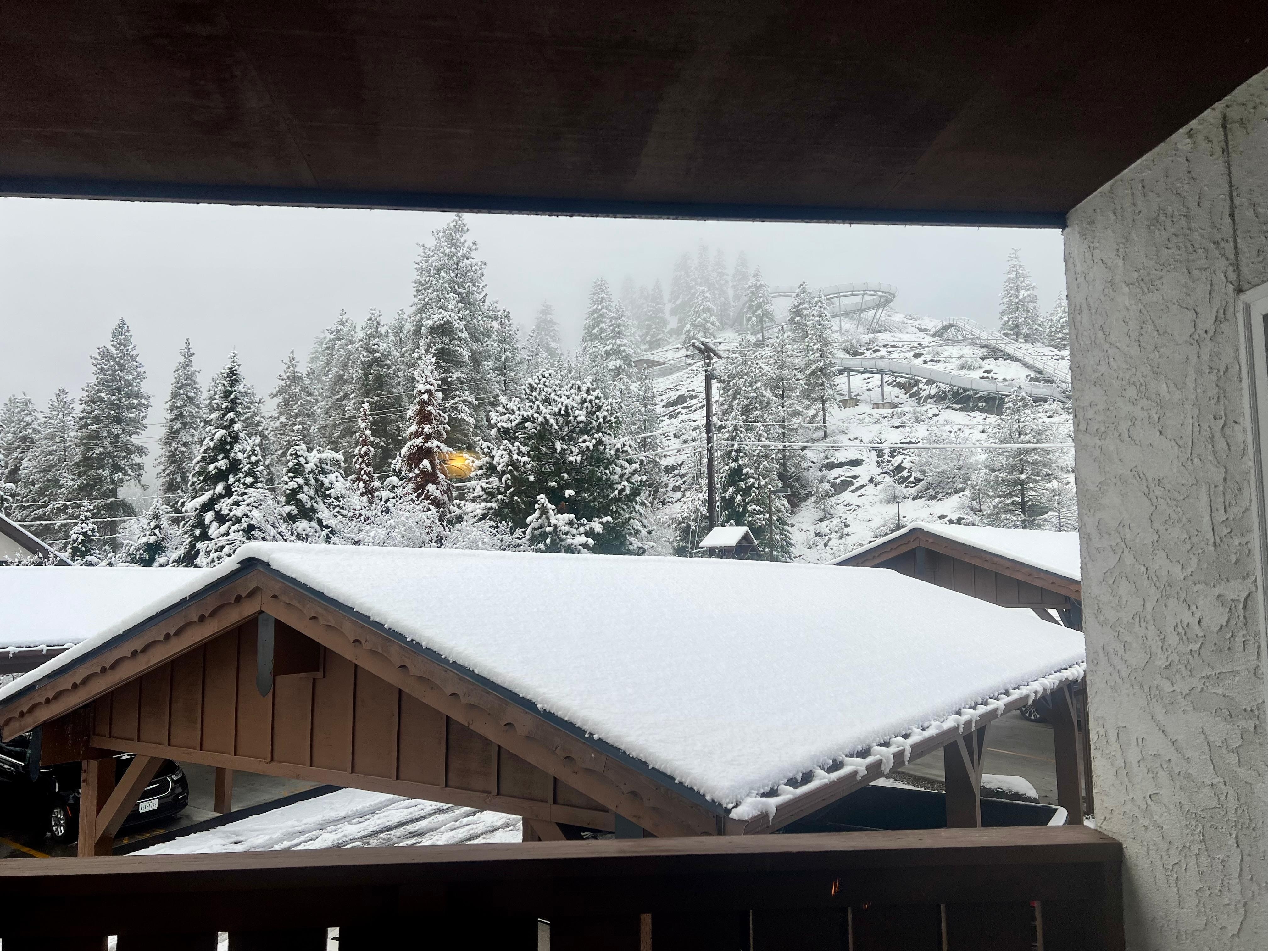 Lucked out on some Thanksgiving snow! View from the couch 