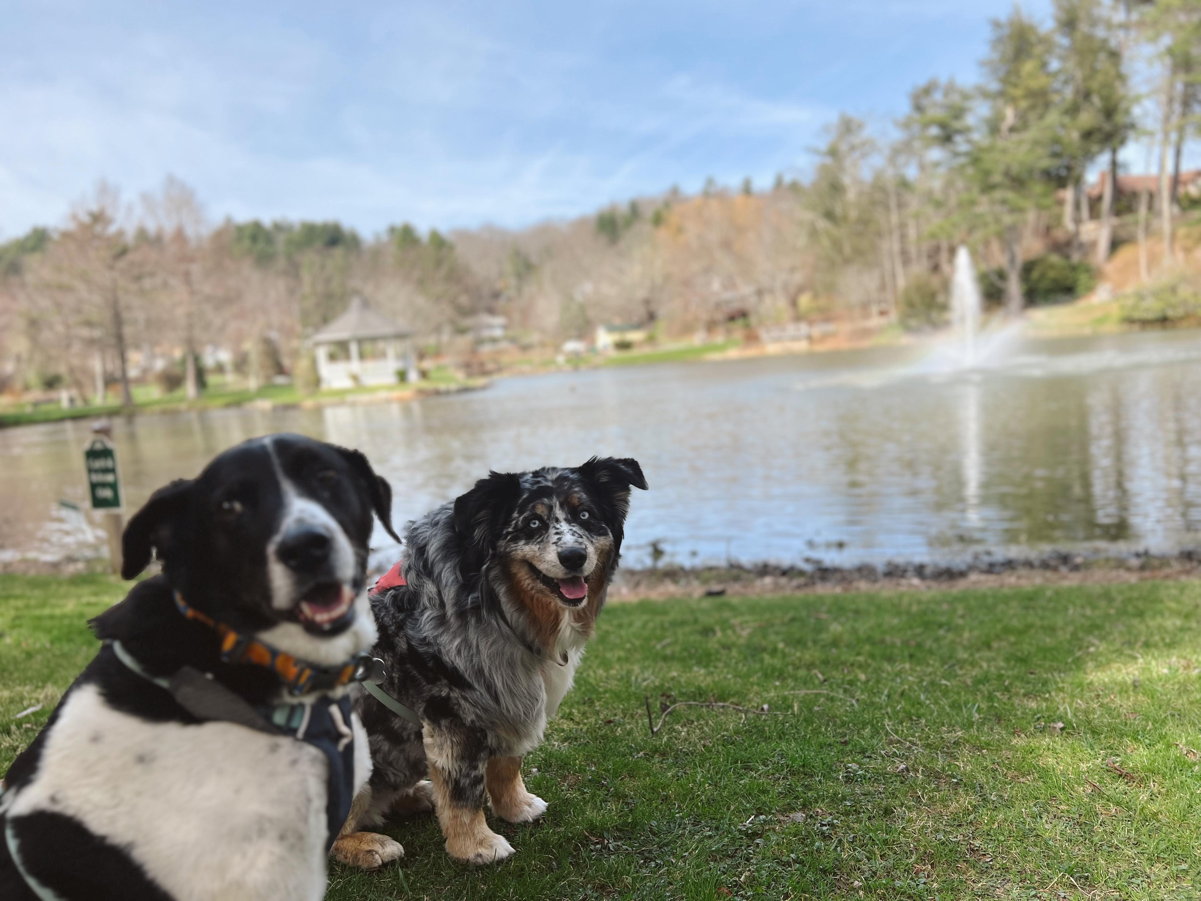 The park within walking distance 