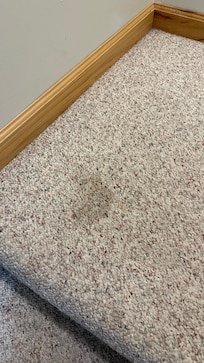 Urine stains all thru on the carpets