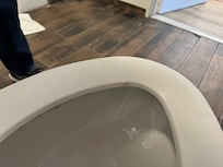Poop left from prior guest on toilet seat