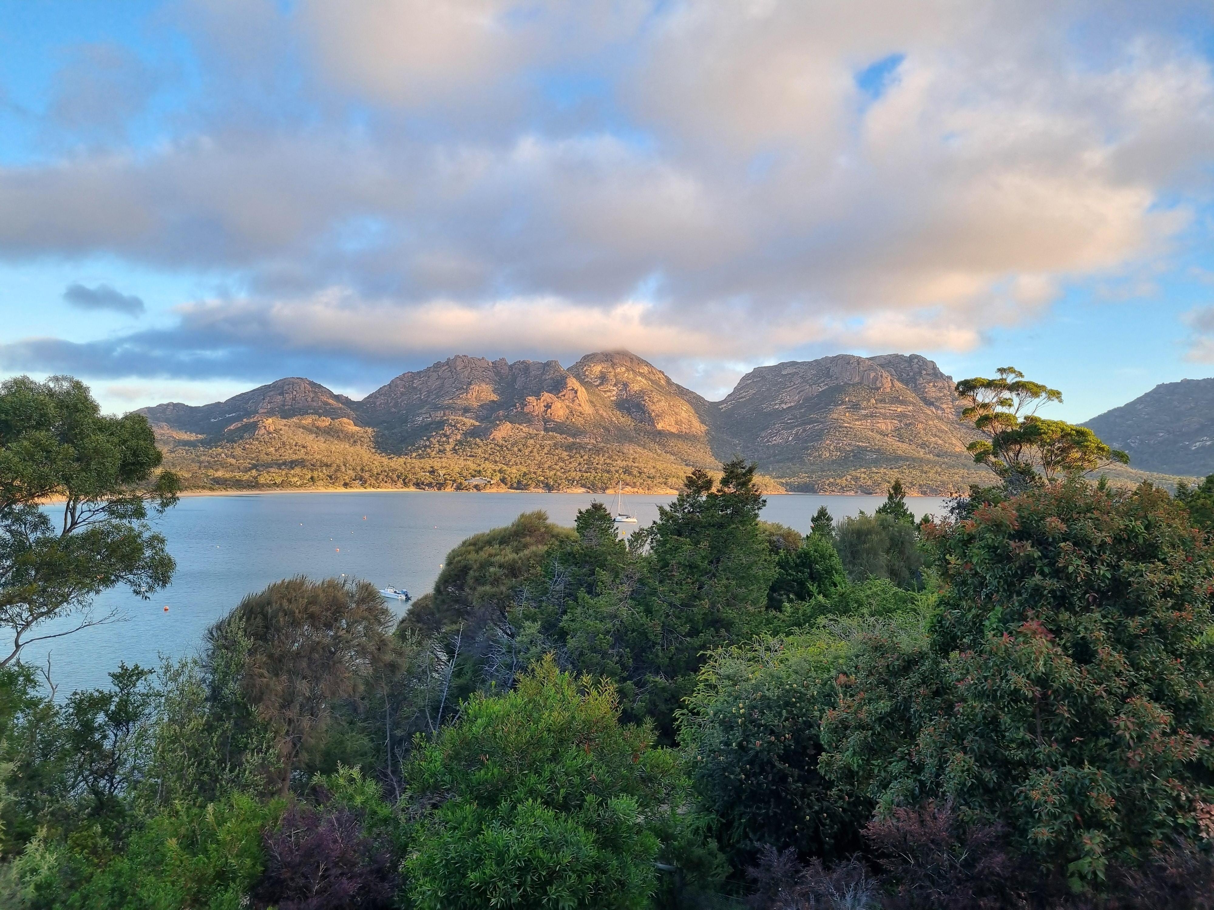 Perfect in every way!